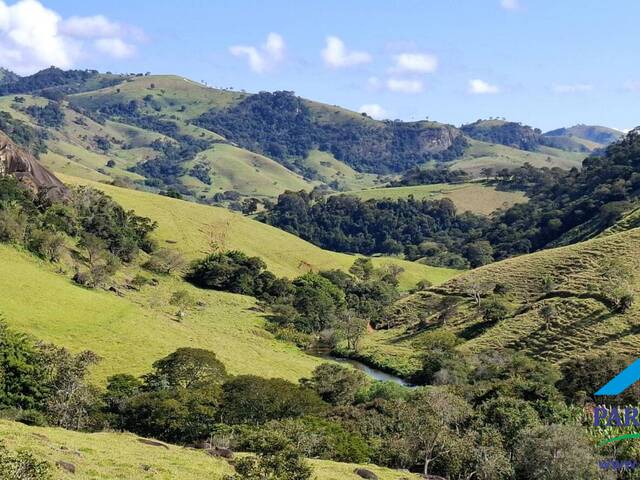#303 - Chácara para Venda em Paraisópolis - MG - 1