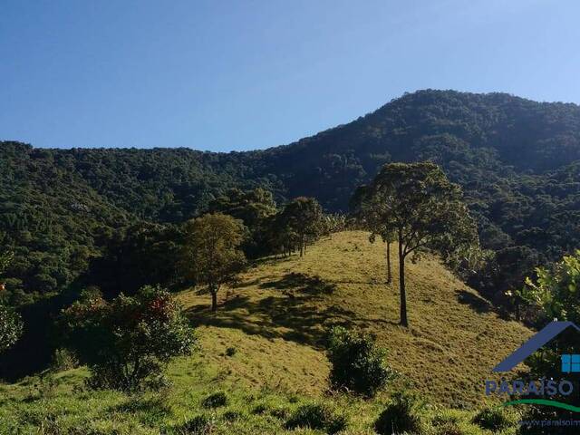 Terreno Rural para Venda em Brasópolis - 5