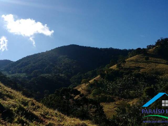 #306 - Chácara para Venda em Brasópolis - MG - 3