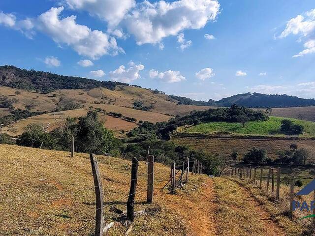 Terreno Rural para Venda em Paraisópolis - 5