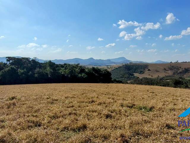 Venda em Centro - Paraisópolis