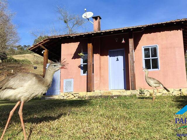 #312 - Casa para Locação em Gonçalves - MG - 1