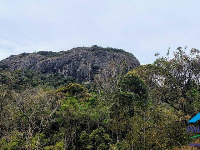 #313 - Chácara para Venda em Sapucaí-Mirim - MG - 1