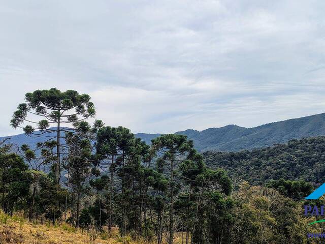 #313 - Chácara para Venda em Sapucaí-Mirim - MG - 3