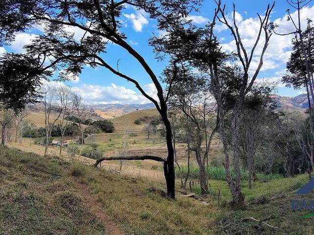 Terreno Rural para Venda em Consolação - 5