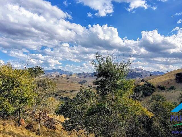 #315 - Terreno Rural para Venda em Consolação - MG - 2