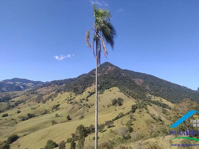 Venda em Centro - Paraisópolis