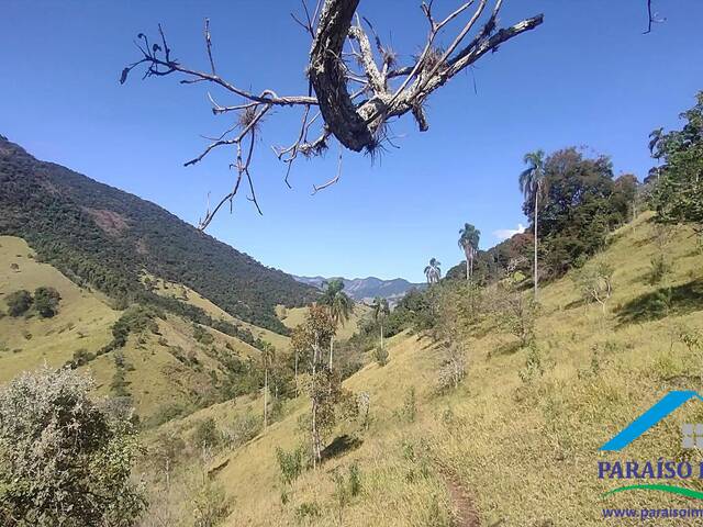 #232 - Terreno Rural para Venda em Paraisópolis - MG - 3
