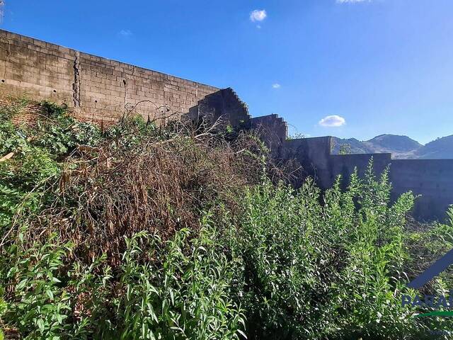 Terreno para Venda em Paraisópolis - 5