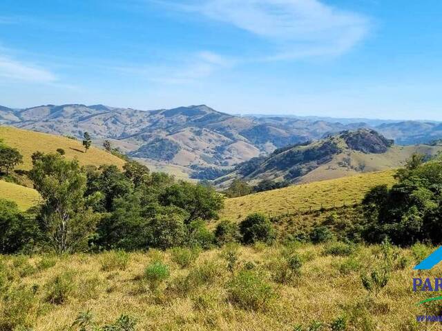 #336 - Terreno Rural para Venda em Paraisópolis - MG - 3