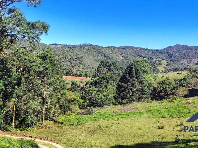 Terreno Rural para Venda em Gonçalves - 5