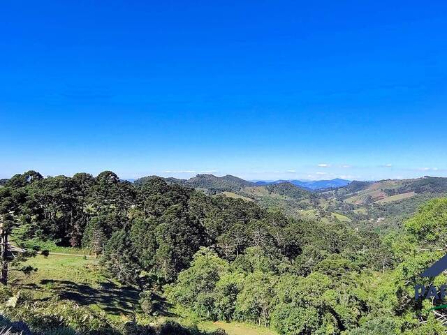 #346 - Terreno Rural para Venda em Gonçalves - MG - 2