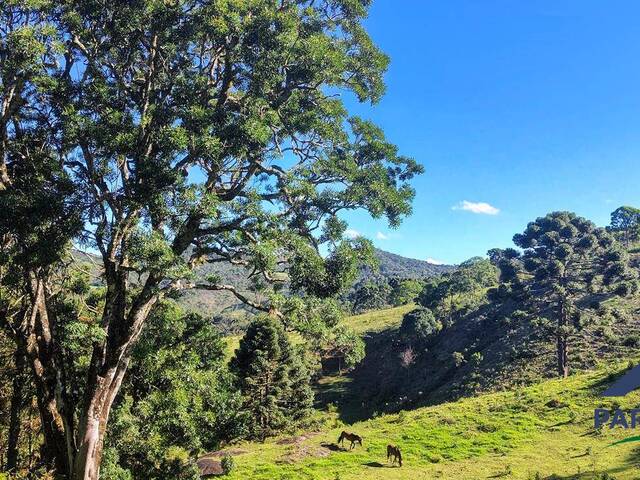Terreno Rural para Venda em Gonçalves - 4