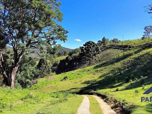 #346 - Terreno Rural para Venda em Gonçalves - MG - 3