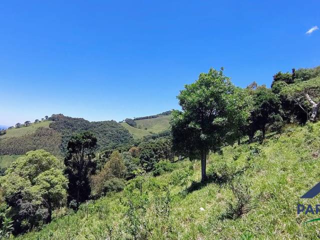 #351 - Terreno Rural para Venda em Córrego do Bom Jesus - MG