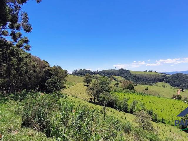 #351 - Terreno Rural para Venda em Córrego do Bom Jesus - MG