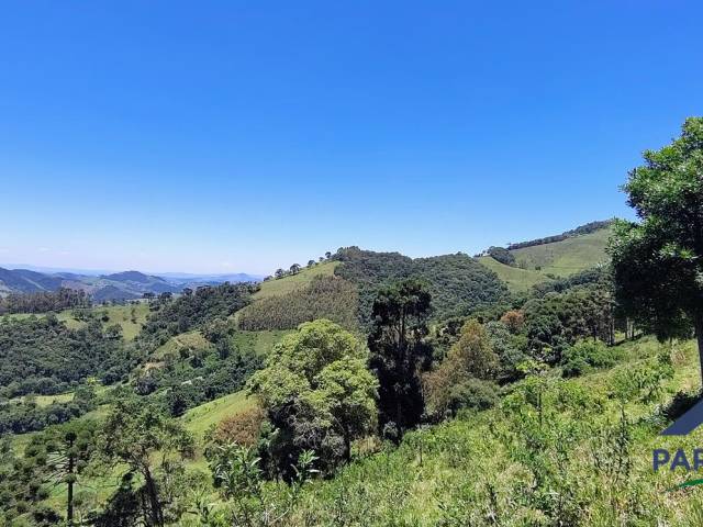 Terreno Rural para Venda em Córrego do Bom Jesus - 4