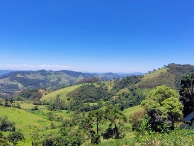 Terreno Rural para Venda em Córrego do Bom Jesus - 5