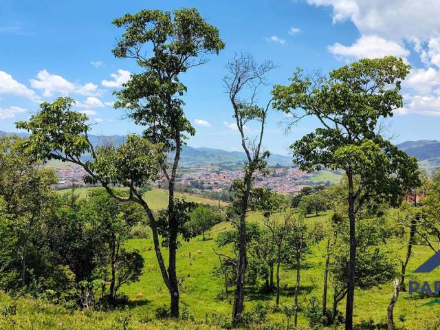 #354 - Terreno Rural para Venda em Paraisópolis - MG - 3