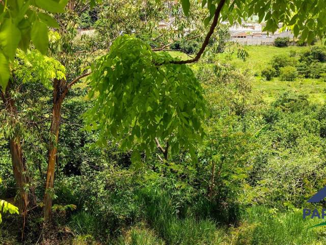 Terreno para Venda em Paraisópolis - 4