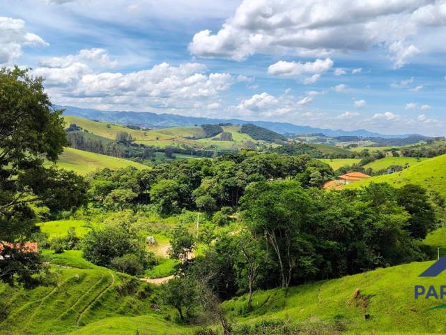 #357 - Terreno Rural para Venda em Córrego do Bom Jesus - MG - 3