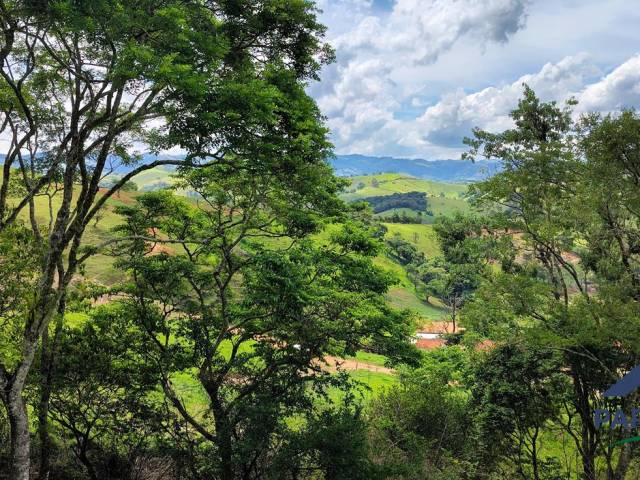 #357 - Terreno Rural para Venda em Córrego do Bom Jesus - MG - 2
