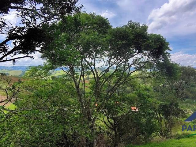 Terreno Rural para Venda em Córrego do Bom Jesus - 4