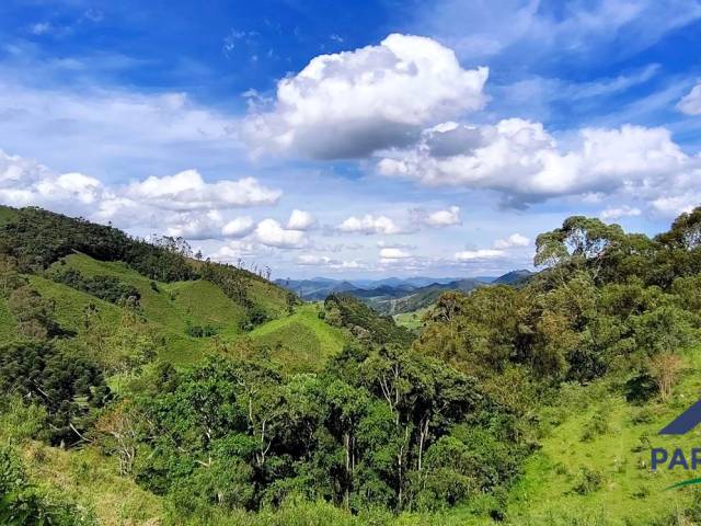 #358 - Terreno Rural para Venda em Paraisópolis - MG