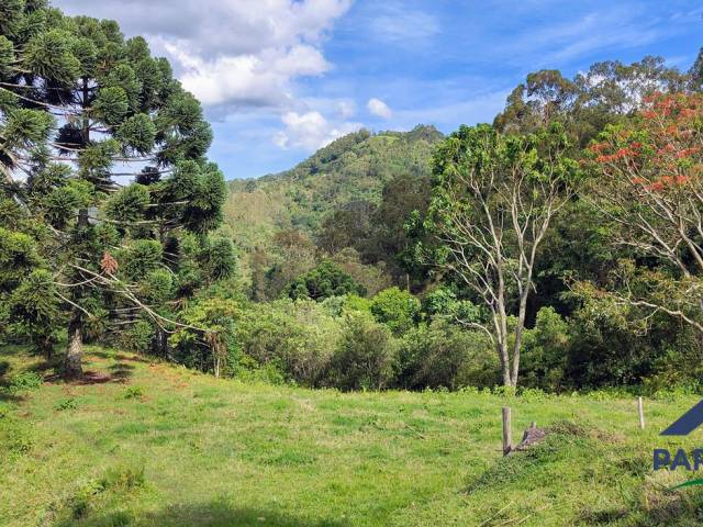 #358 - Terreno Rural para Venda em Paraisópolis - MG