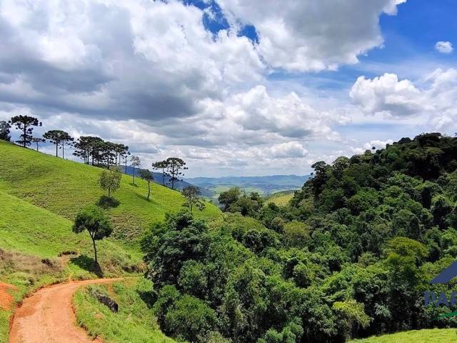 #361 - Terreno Rural para Venda em Consolação - MG