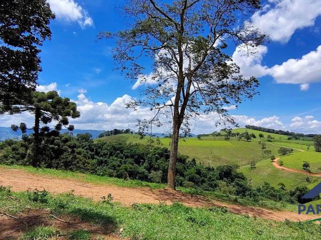 #361 - Terreno Rural para Venda em Consolação - MG