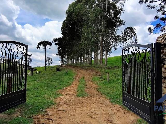 Terreno Rural para Venda em Consolação - 5