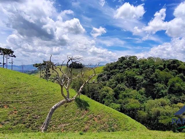 #362 - Terreno Rural para Venda em Consolação - MG - 2