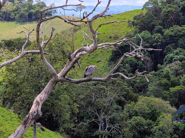 #362 - Terreno Rural para Venda em Consolação - MG - 3