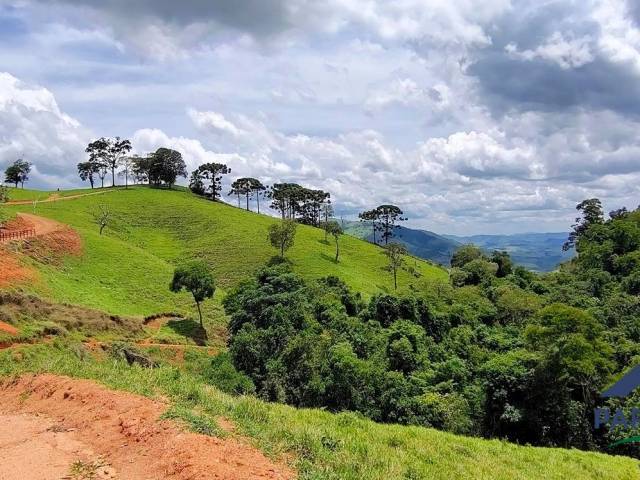 Venda em Centro - Consolação