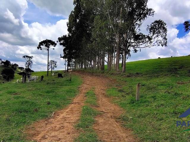 #363 - Terreno Rural para Venda em Consolação - MG
