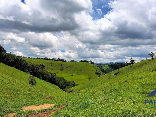 #364 - Terreno Rural para Venda em Consolação - MG