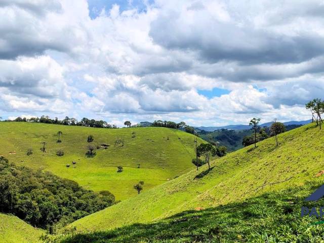#364 - Terreno Rural para Venda em Consolação - MG
