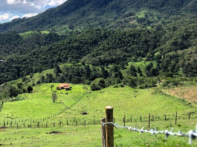 Área para Venda em São Bento do Sapucaí - 4