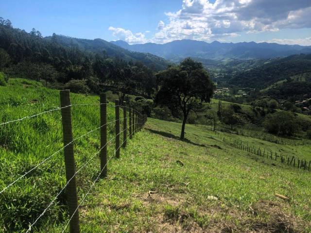 Venda em Centro - São Bento do Sapucaí