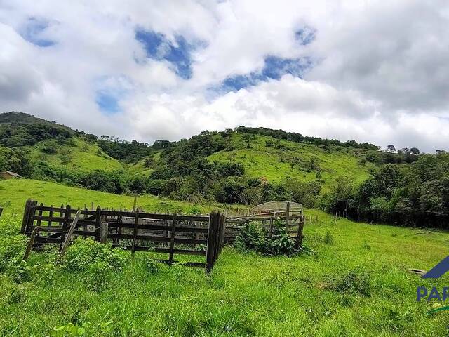 #371 - Terreno Rural para Venda em Paraisópolis - MG