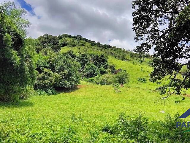 #371 - Terreno Rural para Venda em Paraisópolis - MG - 2