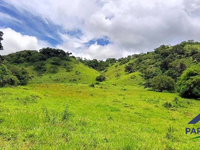 Venda em Centro - Paraisópolis