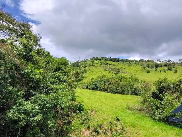 #371 - Terreno Rural para Venda em Paraisópolis - MG - 3