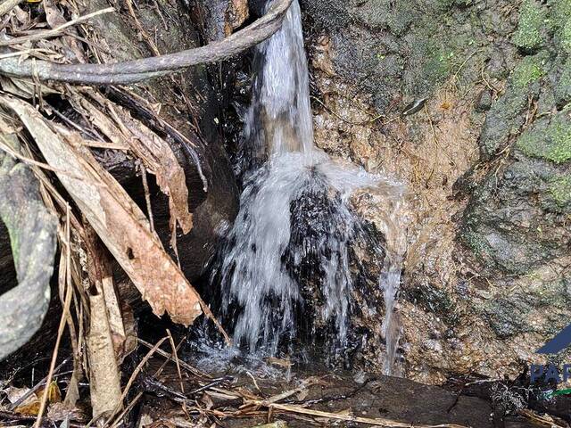#374 - Terreno Rural para Venda em Paraisópolis - MG