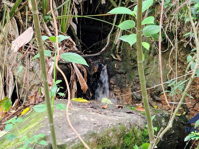 #375 - Terreno Rural para Venda em Paraisópolis - MG