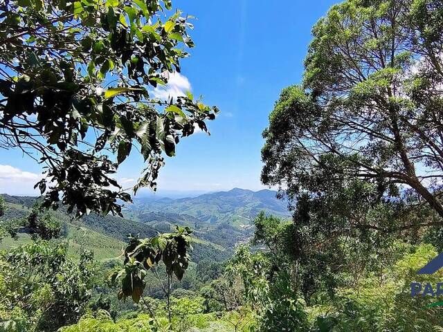 Venda em Centro - Paraisópolis