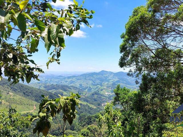 Terreno Rural para Venda em Paraisópolis - 5