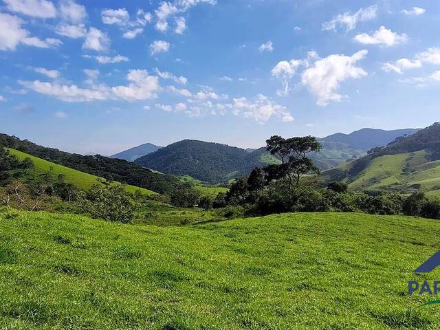 #214 - Terreno Rural para Venda em São Bento do Sapucaí - SP