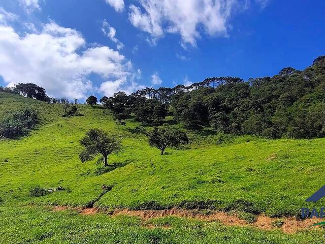 Terreno Rural para Venda em São Bento do Sapucaí - 4